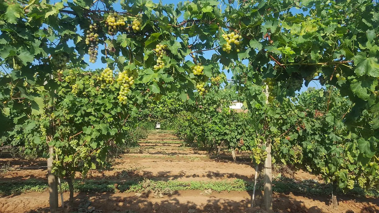 Agriturismo Sa Pramma Santa Maria la Palma Venkovský dům