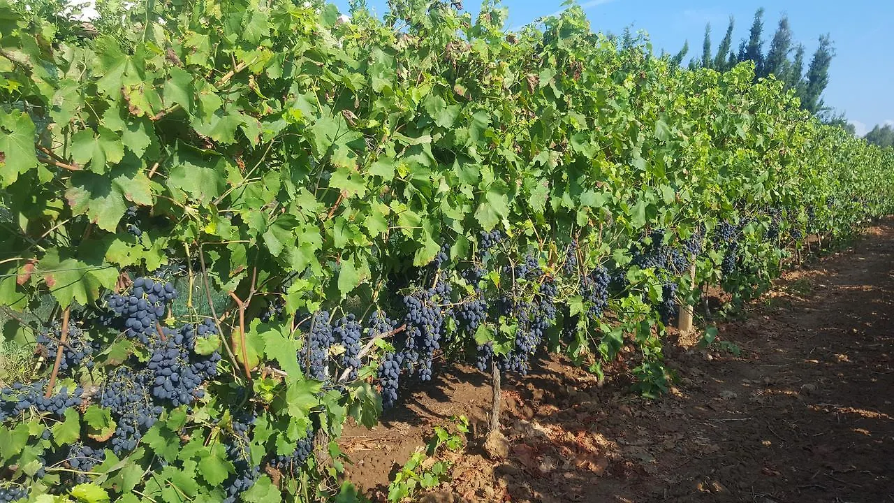 Venkovský dům Agriturismo Sa Pramma Santa Maria la Palma Itálie